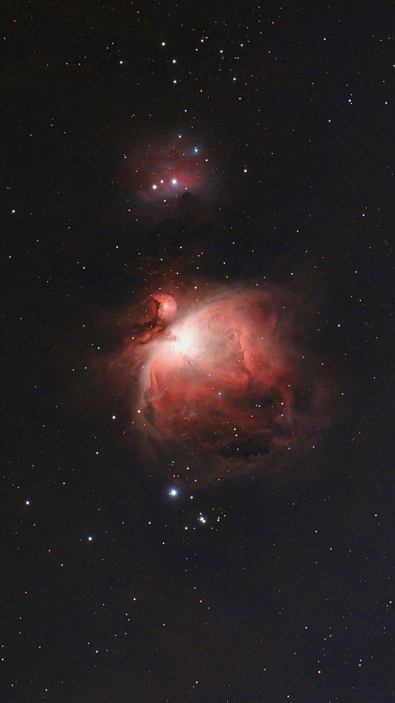 Orion